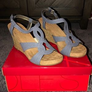 Blue Sandal Wedges
